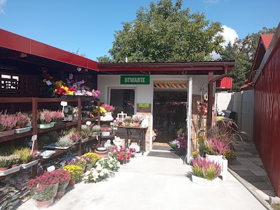 Bernarda Jakubowska Kwiaty, Kwiaciarnia w Domaniów