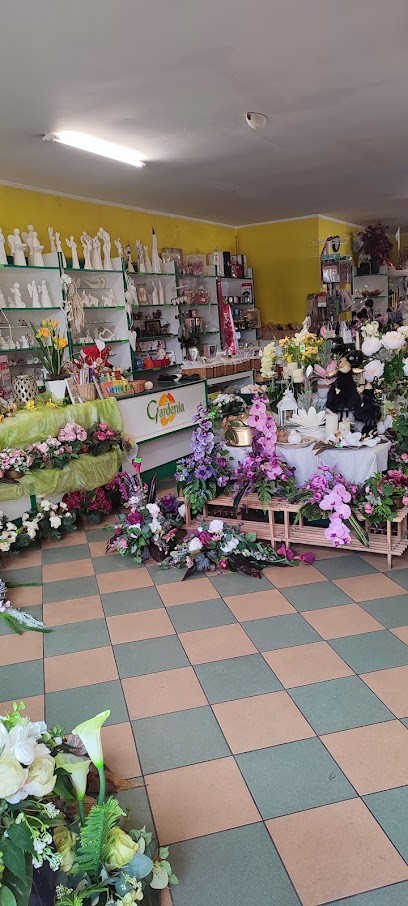 Kwiaciarnia „Gardenia, Kwiaciarnia w Wałcz