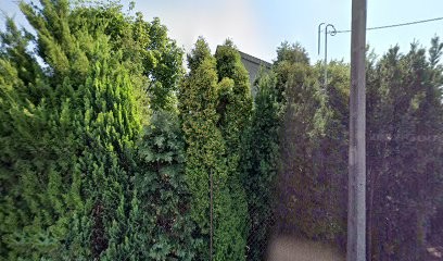 Kwiaciarnia Maria Janakowska, Kwiaciarnia w Kutno