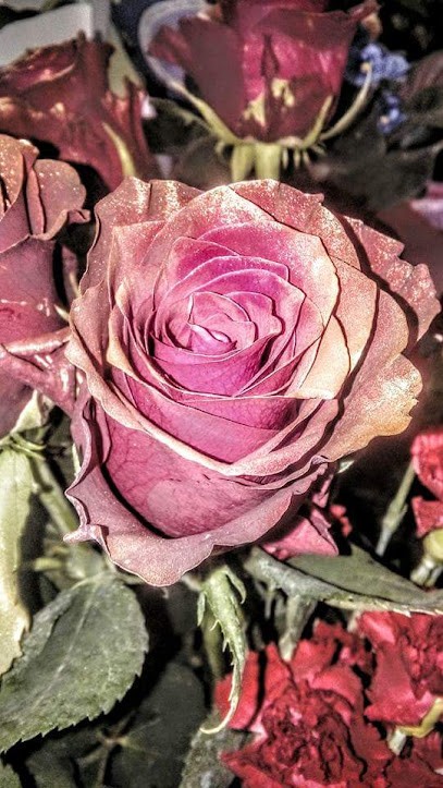 Różany Zakątek, Kwiaciarnia w Stryszawa