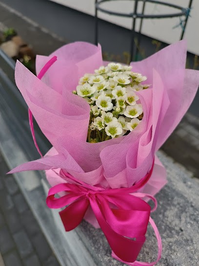 Kwiaciarnia u Kamili, Kwiaciarnia w Drezdenko