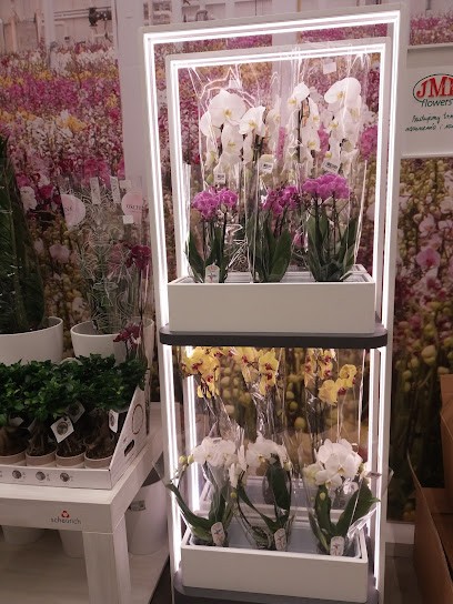 J.M.Ptaszkowie Bydgoszcz, Kwiaciarnia w Bydgoszcz