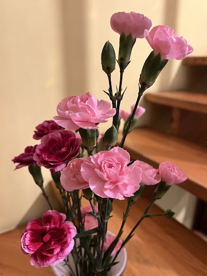 Kwiaciarnia, Kwiaciarnia w Płońsk