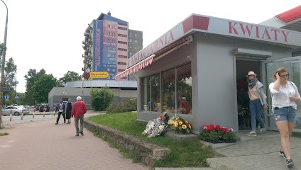 Kwiaciarnia, Kwiaciarnia w Kielce