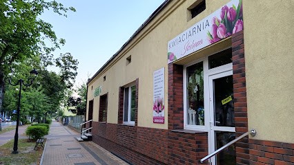 Ikebana, Kwiaciarnia w Tomaszów Mazowiecki