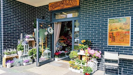 Dziupla Wróbla, Kwiaciarnia w Szczecin