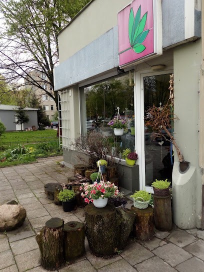 Kwiaciarnia Pergola, Kwiaciarnia w Warszawa