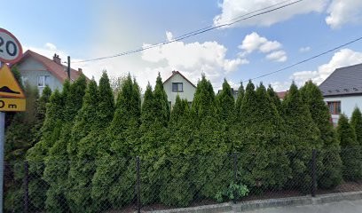 Kusy Elżbieta. Kwiaciarnia, Kwiaciarnia w Brzesko