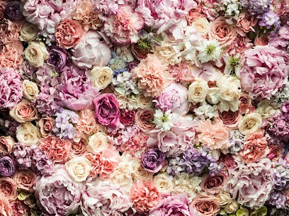 Kwiaciarnia Biała, Kwiaciarnia w Łódź