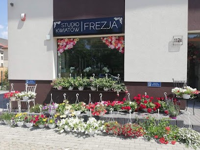 Studio Kwiatów Frezja, Kwiaciarnia w Legnica