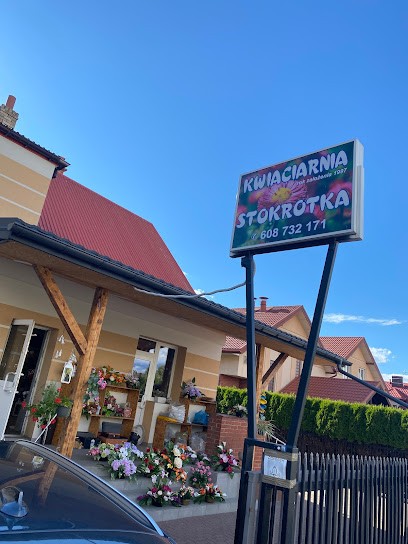 Kwiaciarnia Stokrotka, Kwiaciarnia w Łapy