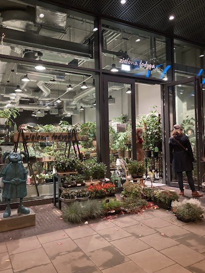 Zielona łodyga, Kwiaciarnia w Warszawa