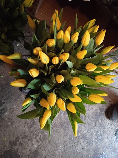 Ogrodnictwo Krzyżowniki/Baranowo, Kwiaciarnia w Poznań