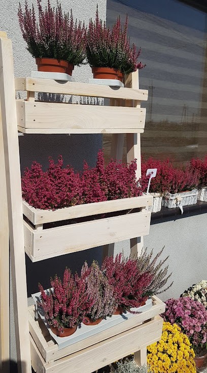 Kwiaciarnia Burzenin, Kwiaciarnia w Burzenin