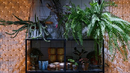 Deseo Kwiaty, Kwiaciarnia w Chojnice