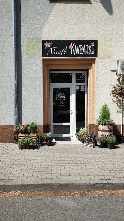 Niezłe KWIATKI - Kwiaciarnia Brzeg Dolny, Kwiaciarnia w Brzeg Dolny