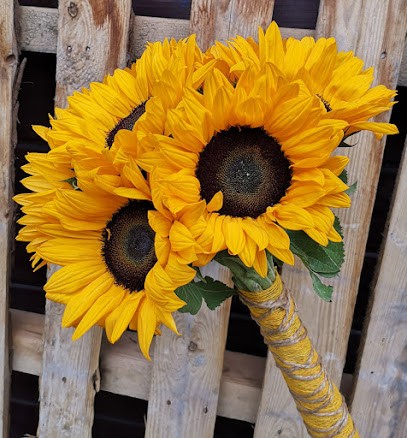 SŁONECZNIK Pracownia Florystyczna, Kwiaciarnia w Modlnica