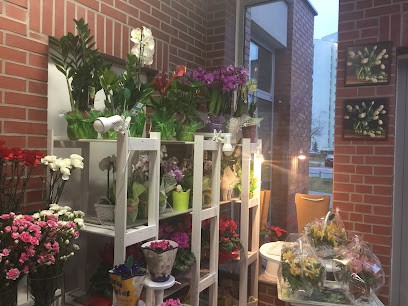Kwiaciarnia Kwiatowy Kącik, Kwiaciarnia w Warszawa