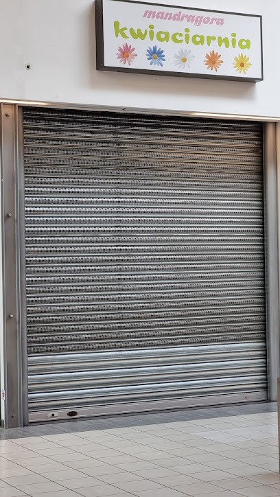 Mandrake, Kwiaciarnia w Warszawa