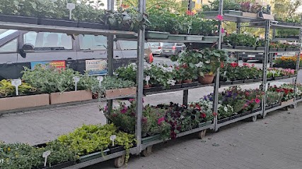 KWIACIARNIA SŁONECZNA, Kwiaciarnia w Gorzów Wielkopolski