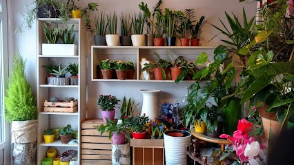 Ale Kwiatki Kwiaciarnia, Kwiaciarnia w Łuków