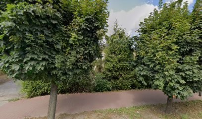 Frezja. Kwiaciarnia. Michalczyk K., Kwiaciarnia w Ryki