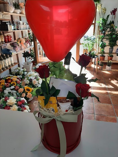 Kwitnę Dla Ciebie, Kwiaciarnia w Olsztynek