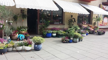 Kwiaciarnia Frezja Joanna Klimek, Kwiaciarnia w Krąków