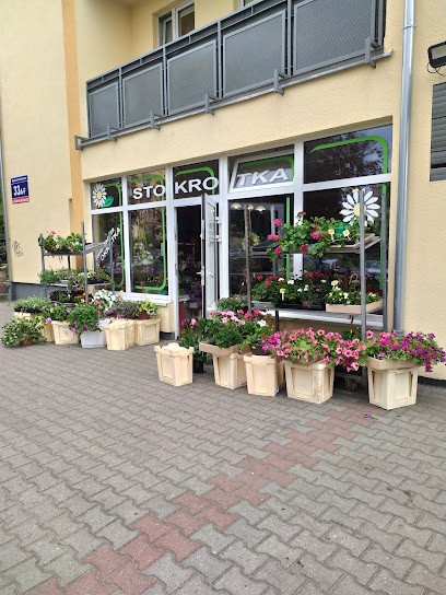 Kwiaciarnia Stokrotka, Kwiaciarnia w Gorzów Wielkopolski