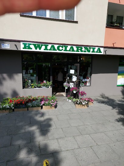 Kwiaciarnia Orchidea, Kwiaciarnia w Mysłowice