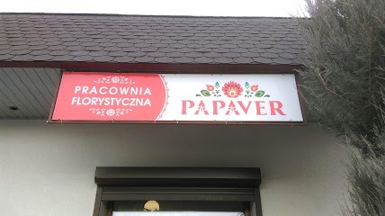 Papaver. Pracownia Florystyczna, Kwiaciarnia w Niemodlin