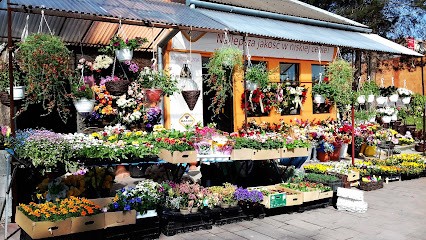 Kwiaciarnia Miechów ul. Piłsudskiego 20, Kwiaciarnia w Miechów