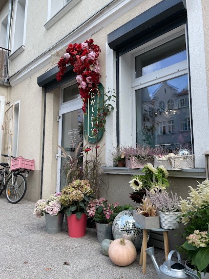 Pracownia Florystyczna Hanny Sapon, Kwiaciarnia w Sopot