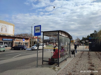 Ismena. Kwiaciarnia, Kwiaciarnia w Żyrardów