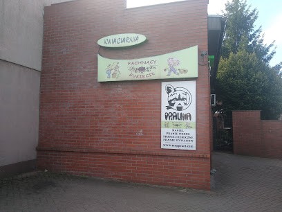 Kwiaciarnia Pachnący bukiecik, Kwiaciarnia w Skoki