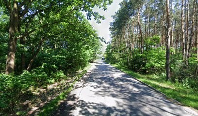 Magnus. Produkcja Kwiatów, Kwiaciarnia w Nadarzyn