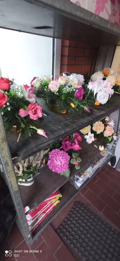 Azalia, Kwiaciarnia w Koronowo