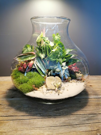 Mała Natura, Kwiaciarnia w Daszewice