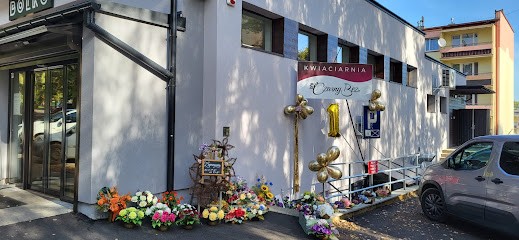 Kwiaciarnia CZARNY BEZ, Kwiaciarnia w Cieszyn