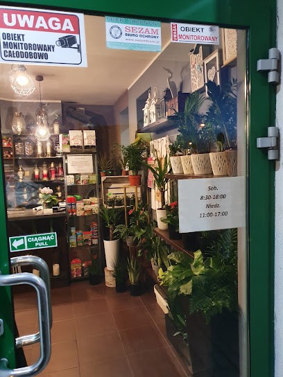 Kwiaciarnia ULAND/KWIATOVE.PL, Kwiaciarnia w Września