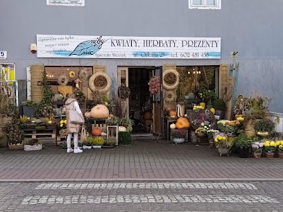 Niby nic... Agnieszka Wietrzyk, Kwiaciarnia w Rabka-Zdrój