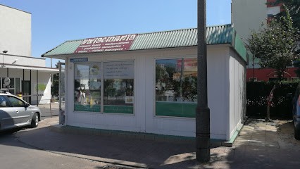 Kwiaciarnia Słonecznik w Koninie, Kwiaciarnia w Konin