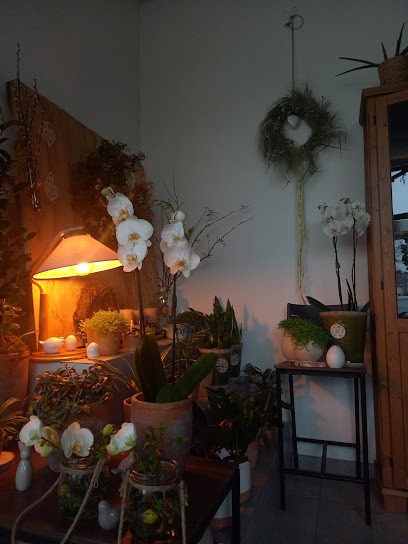 Van Kwiaty Flowers & Coffee, Kwiaciarnia w Poznań