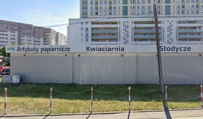 IKEBANA Piotr Kołodziejczyk, Kwiaciarnia w Warszawa