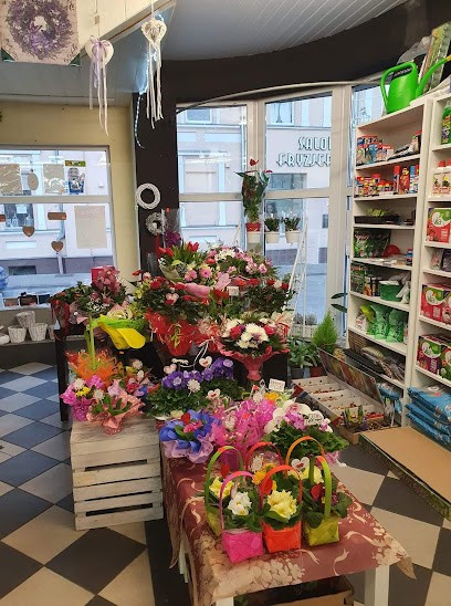 Kwiaciarnia Kameleon, Kwiaciarnia w Gozdnica