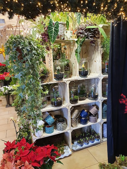 Kwiaciarnia Dionea, Kwiaciarnia w Żywiec