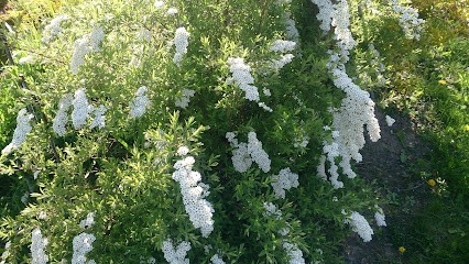 Flower Shop Fudała, Kwiaciarnia w Mąkowarsko