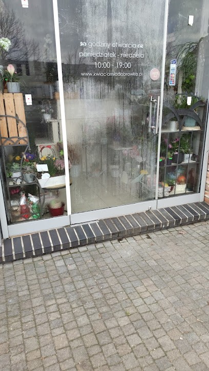 Ostrowska Jolanta. Kwiaciarnia, Kwiaciarnia w Dąbrówka
