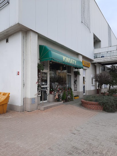 Pracownia florystyczna Beaty Felińczak, Kwiaciarnia w Wrocław