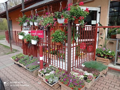 Kwiaciarnia Sasanka, Kwiaciarnia w Krąków